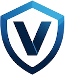 VIGION